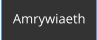 Amrywiaeth