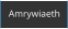 Amrywiaeth